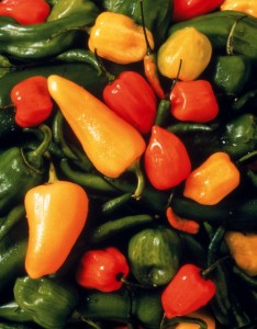 Hot Peppers, Acapulcos Mexican Family Restaurant and Cantina